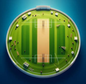 cricketpitch image